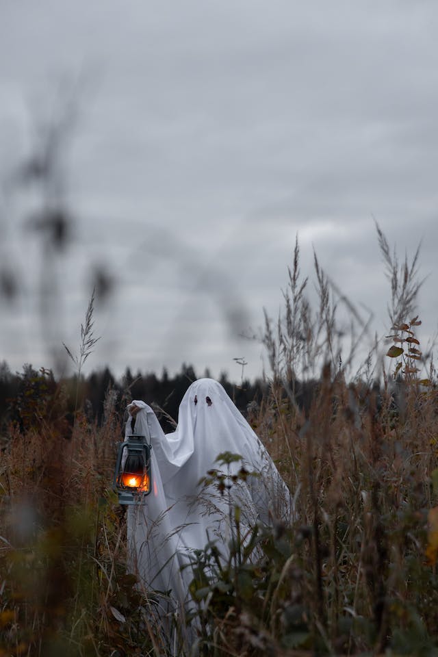 bhoot wali darawni kahaniya